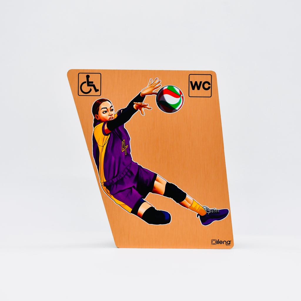 Panneau PMR - handicap -toilette - Volley WC cuivre