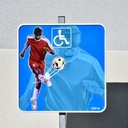 Panneau stationnement-PMR-Cecifoot