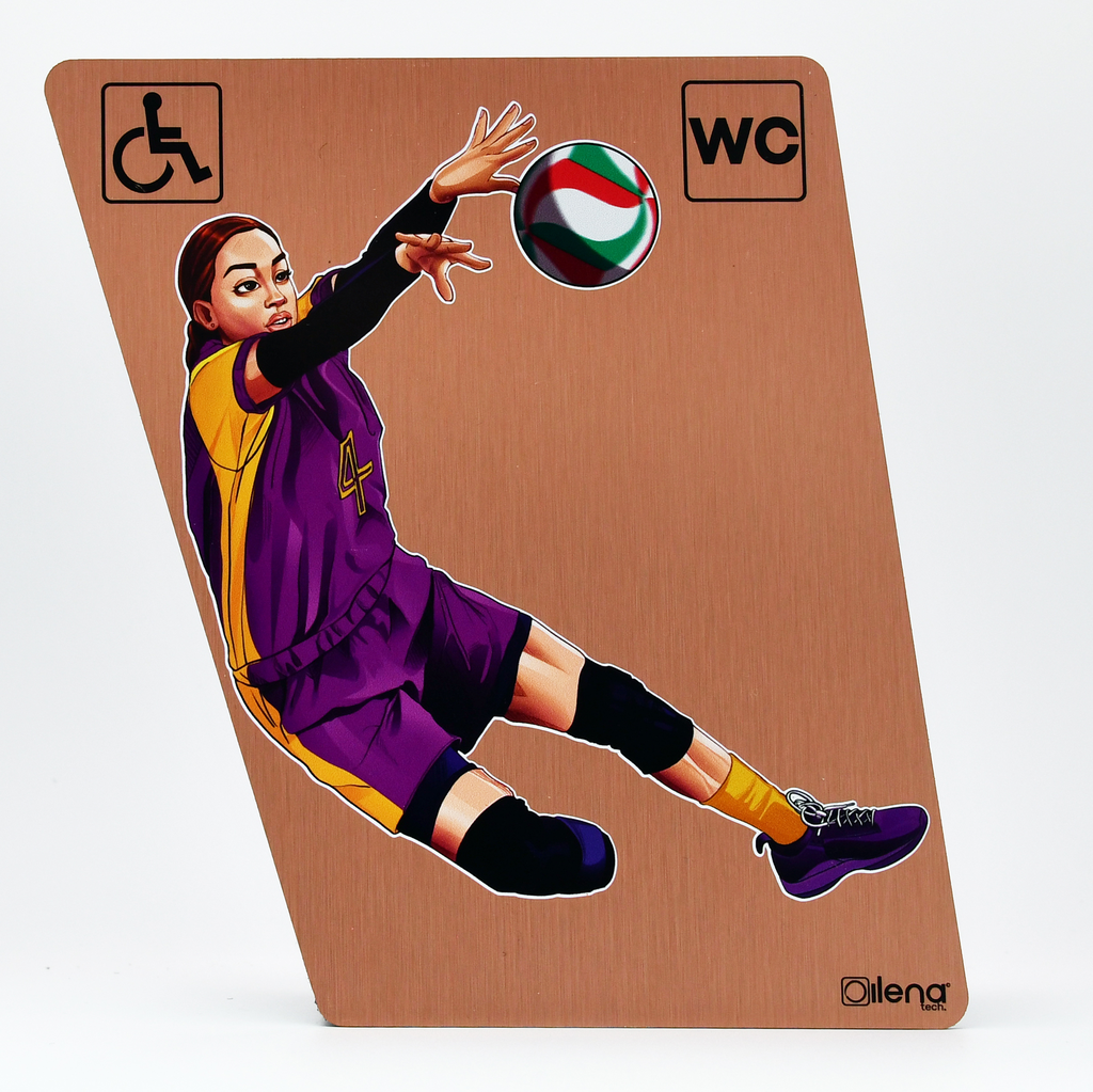 Panneau PMR - handicap -toilette -Volley assi WC cuivre   