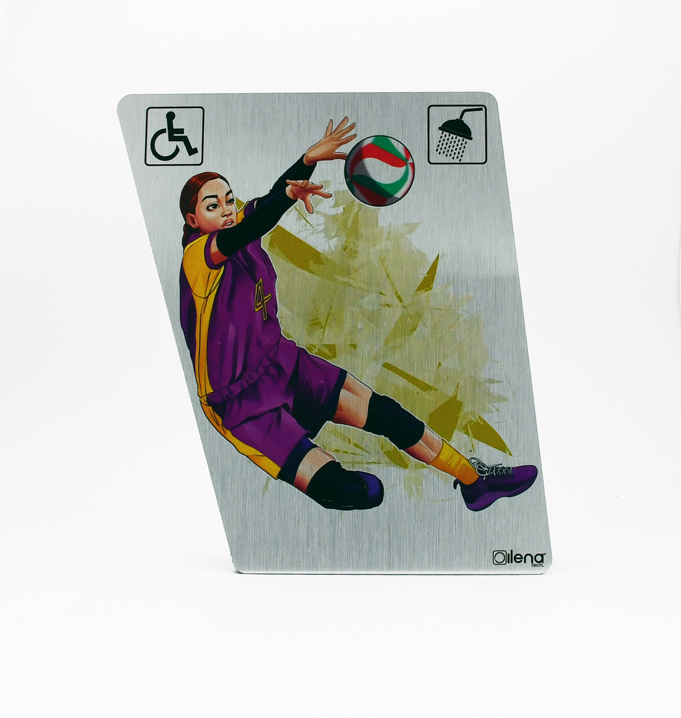 Panneau PMR - handicap -douche Volley assis gris