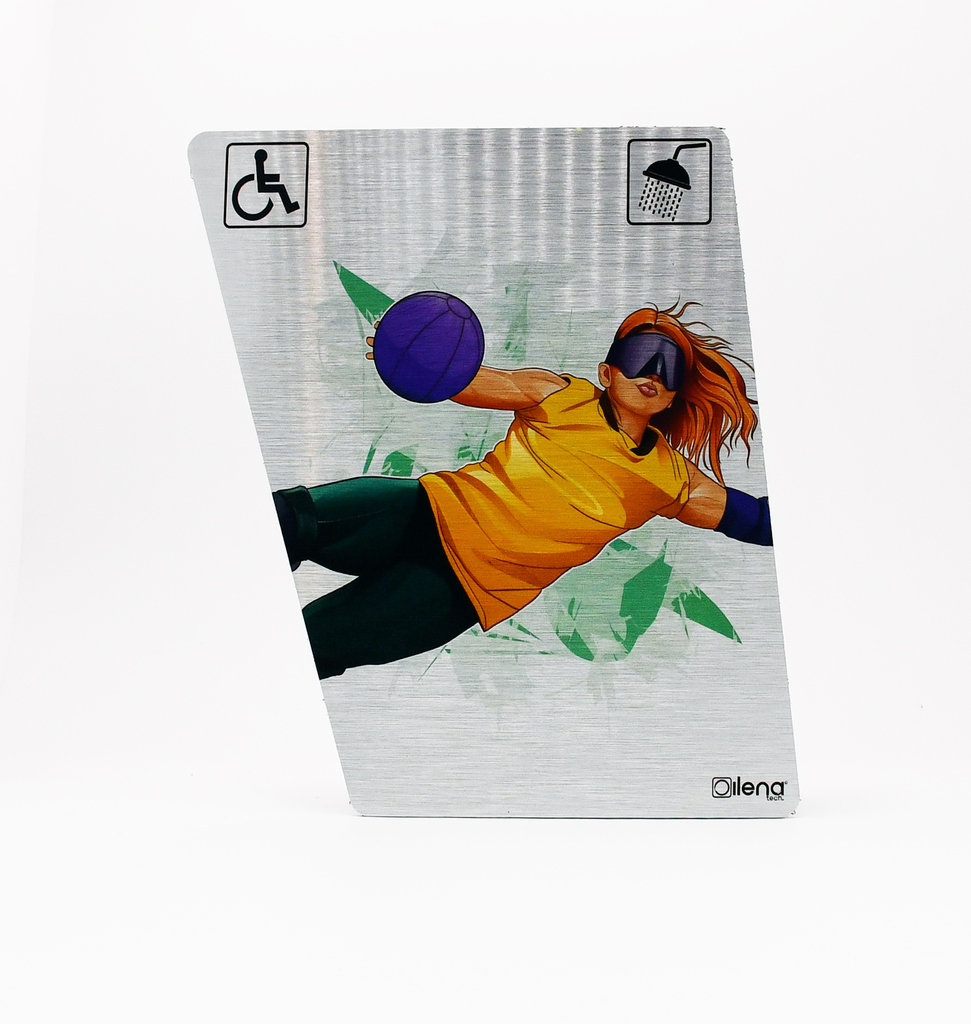 Panneau PMR - handicap -douche Goal Ball gris