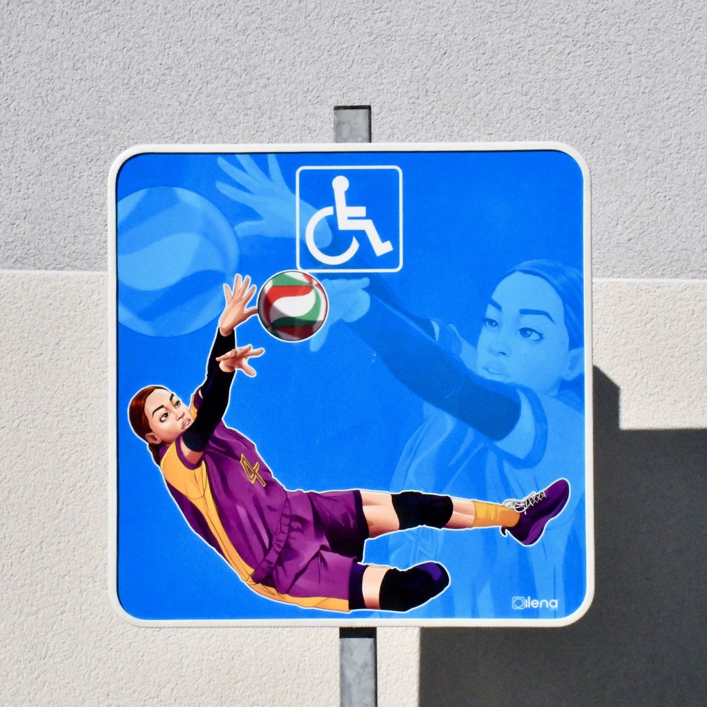 Panneau stationnement-PMR-Volley