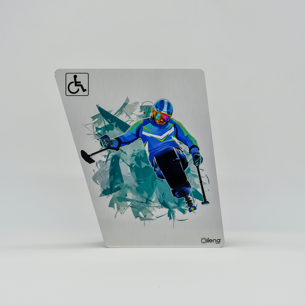 Panneau PMR - handicap -signalisation  Ski gris