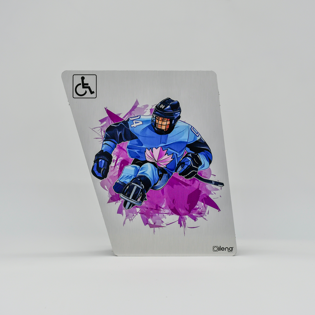 Panneau PMR - handicap -signalisation Hockey gris