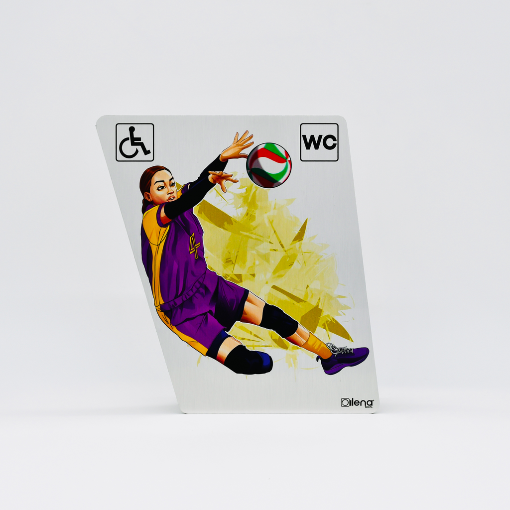 Panneau PMR - handicap -toilette Volley WC gris